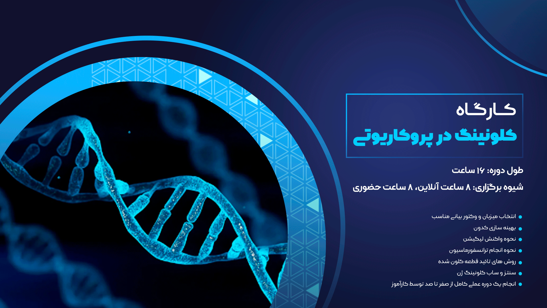 کلونینگ در پرکاریوتی